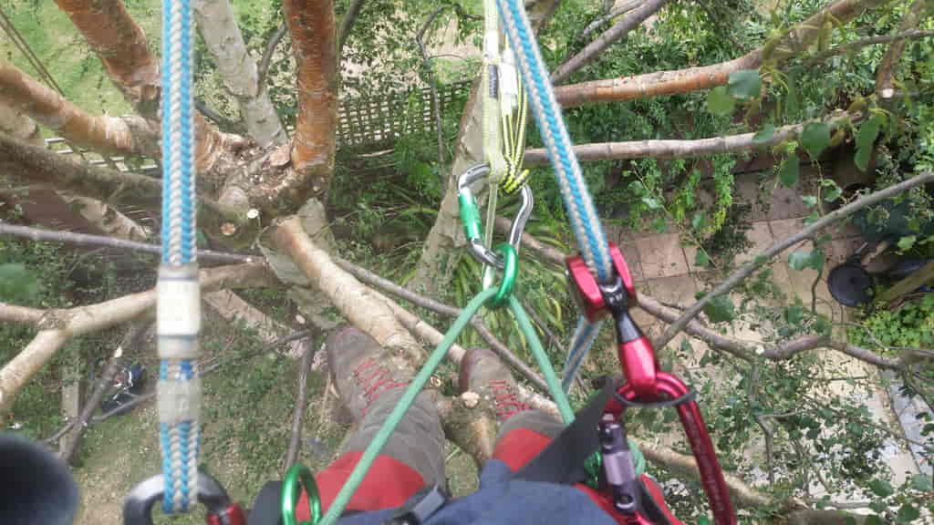 Tree surgeon in Pembury