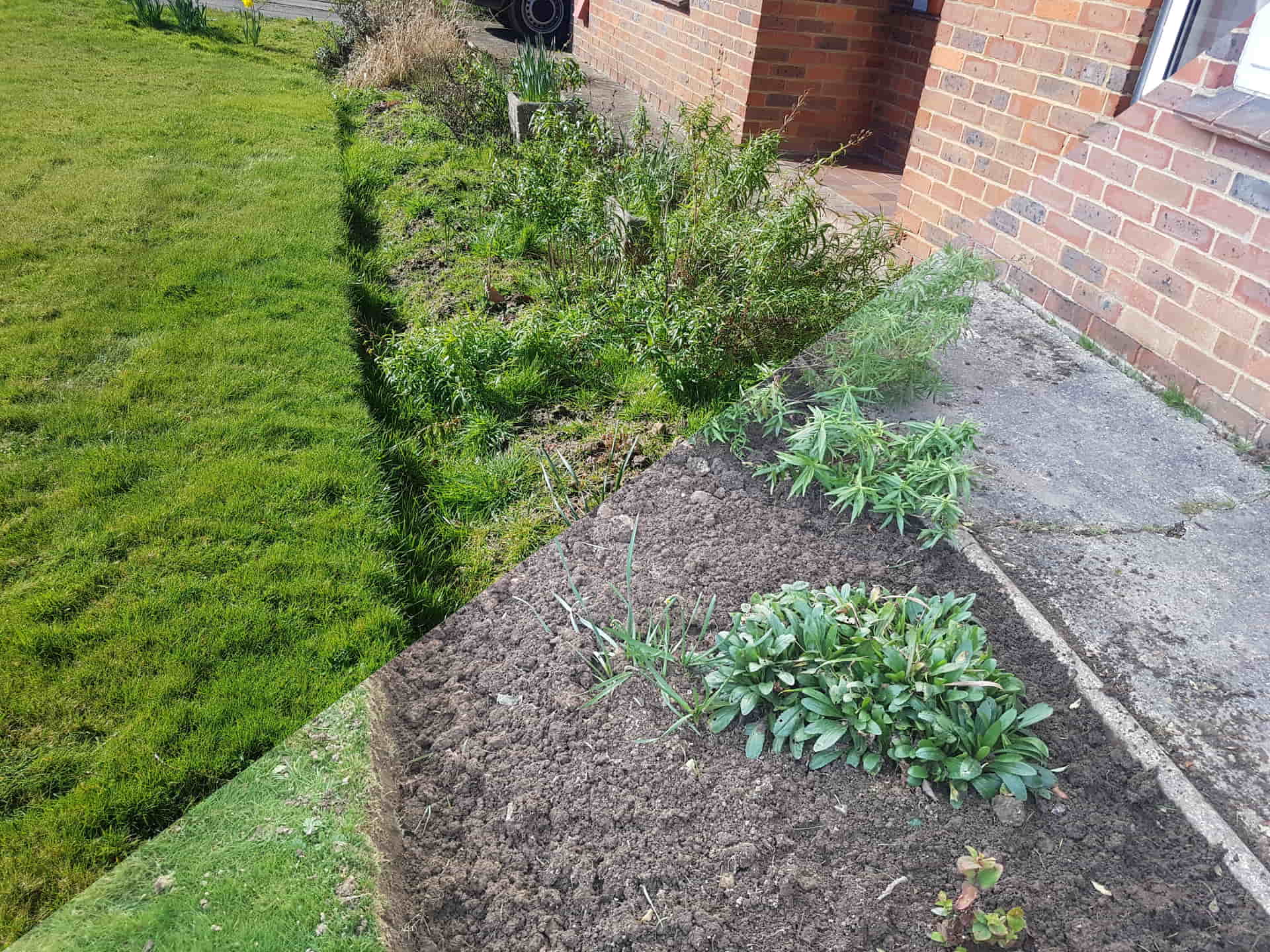 Weeding and border maintenance in Lamberhurst