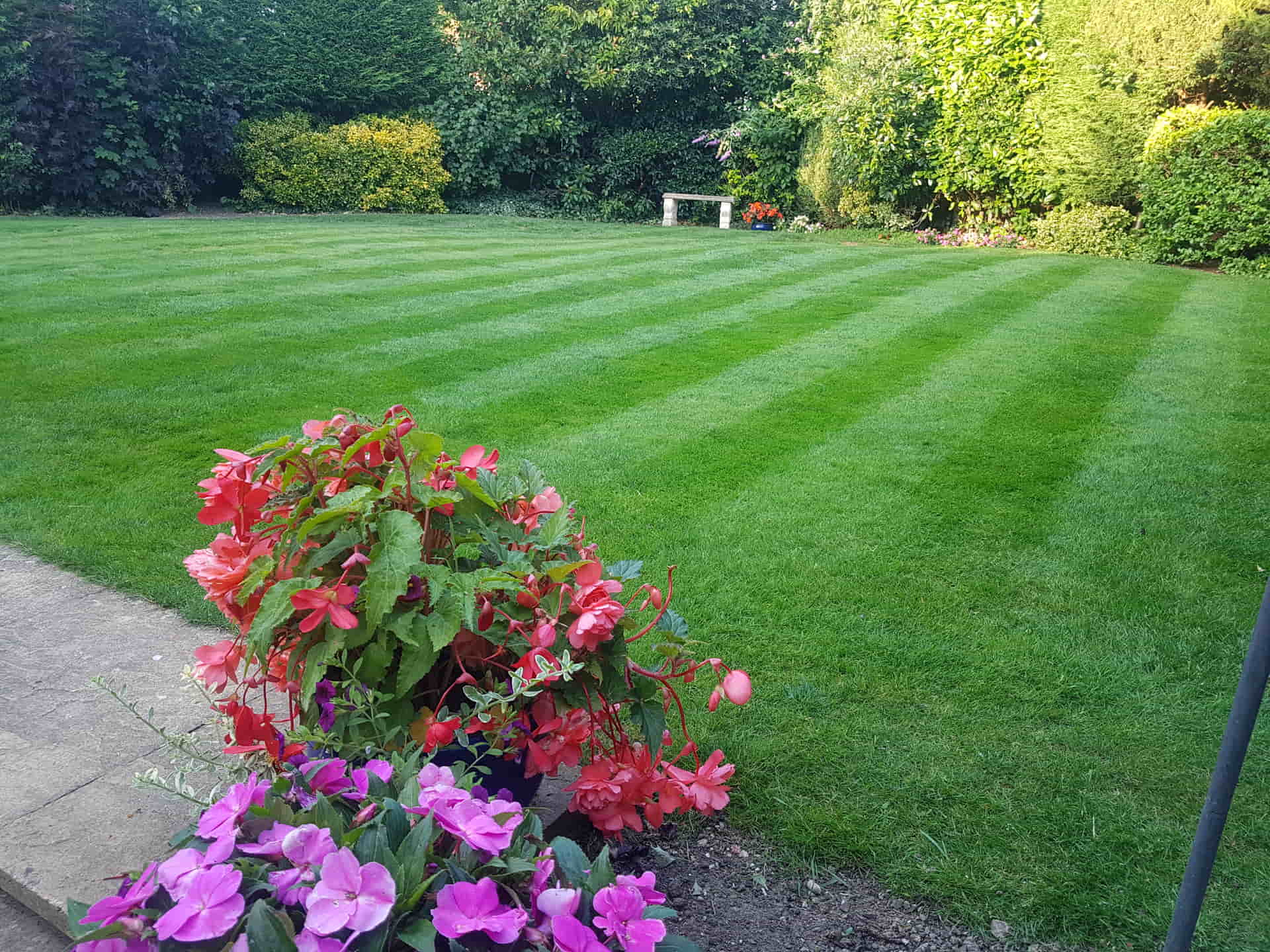 Lawn mowing in Paddock Wood