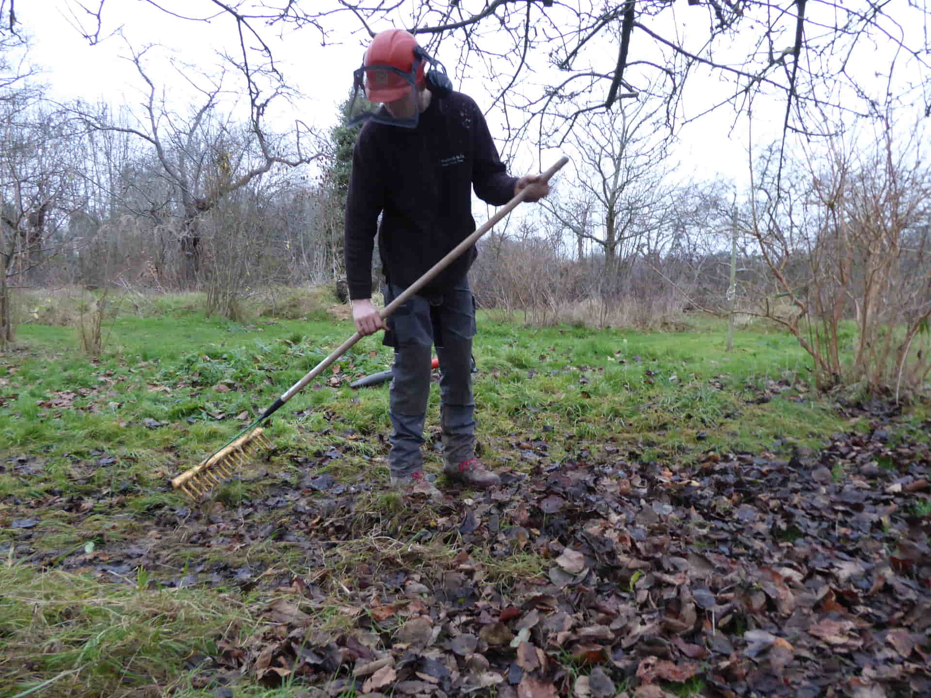 Leaf clearance in Pembury