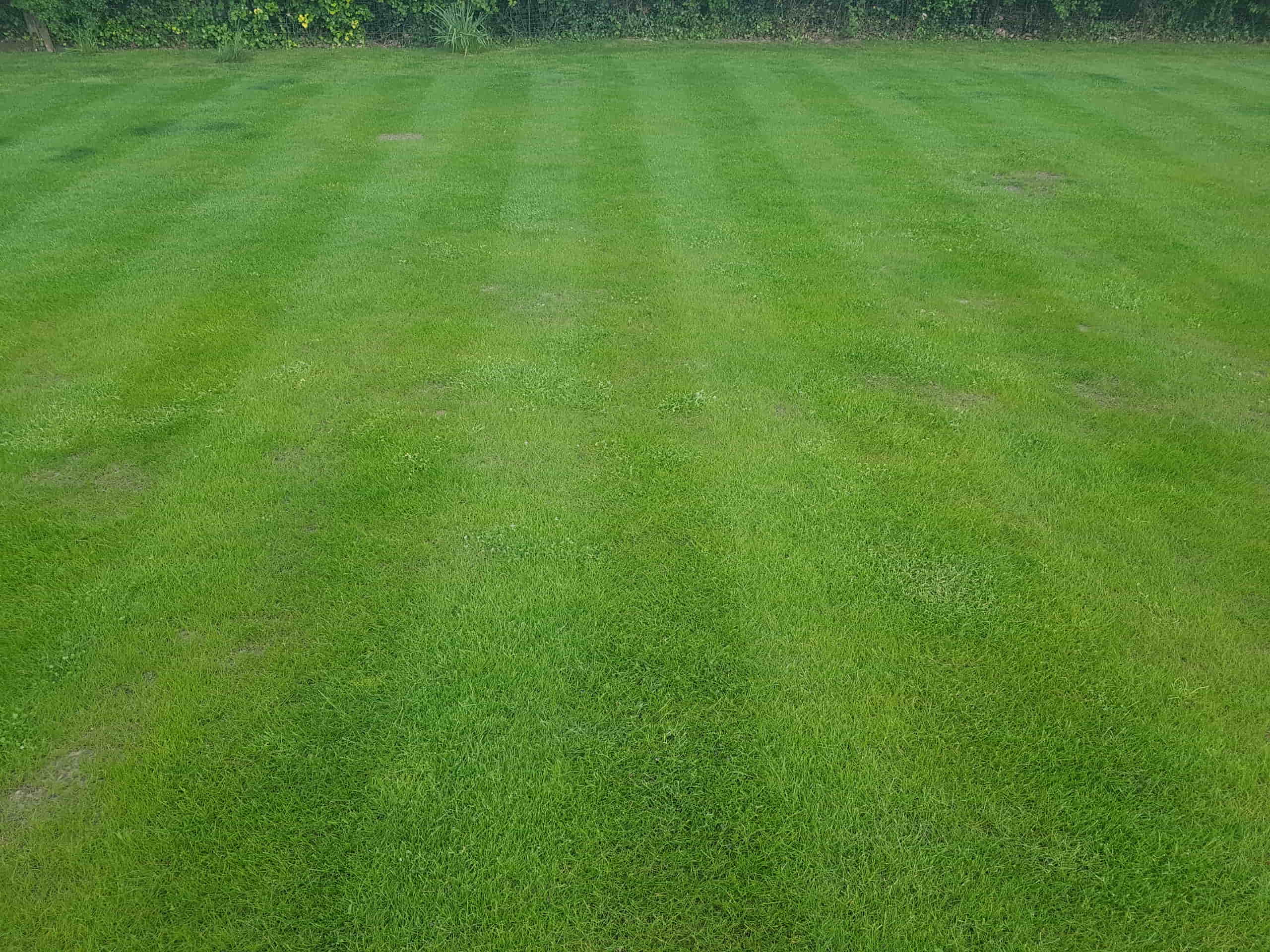 Lawn mowing in Lamberhurst