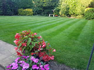 Lawn mowing in Paddock Wood