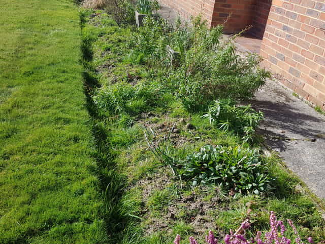 Border weeding in Lamberhurst