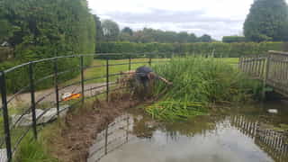 Pond maintenance in Pembury